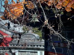 -北京艺术博物馆(万寿寺)