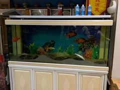 -大地烙馍村(商城路店)