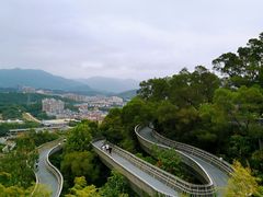 -福道