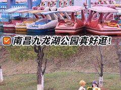 -九龙湖公园