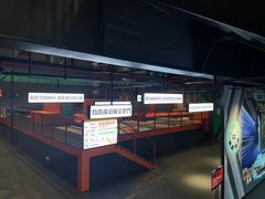 -极限PLAY运动娱乐新世界·团建派对潮玩休闲馆·室内蹦极高空游乐园