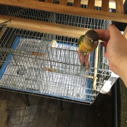 -日月刺青工作室·高端纹身