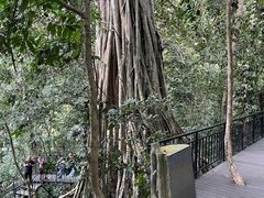 -中国科学院西双版纳热带植物园