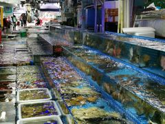 -霞涌市场海鲜摆卖区