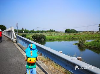 水上森林和淀山湖，非常推荐
