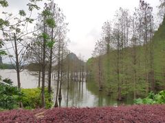 -南宁花花大世界景区