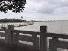 -溱湖国家湿地公园