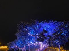 -眉山湿地公园(东坡区)