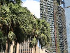 -吉隆坡国油双峰塔