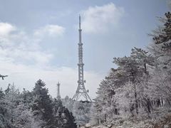 -四明山国家森林公园