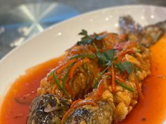 松子山坑鲩-聚福宝合苑食府(南头镇店)