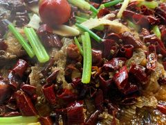 -老板恋上鱼(恒隆广场店)