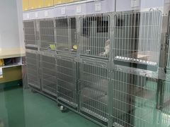 -东方动物医院·宠保定点·骨科·转诊中心(春城路·昆明站分院)