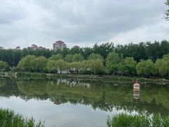 -马家湾湿地公园