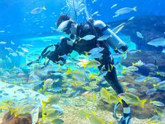 -海合安武汉极地海洋公园