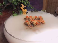 爆款鳗鱼家第一卷之鳗鱼四季-鳗鱼家·深夜食堂(军博店)