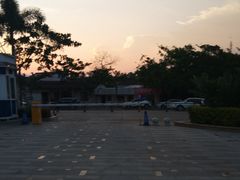 -麦当劳(华亚广场店)