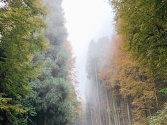 -山王坪喀斯特国家生态公园