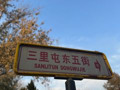 -三里屯东五街银杏大道