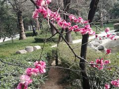 -木塔寺遗址生态公园