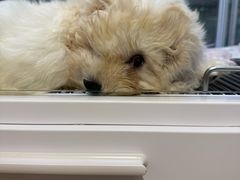-瑞虹新天地月亮湾
