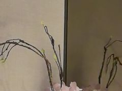 -浅深(世茂滨江精品店)