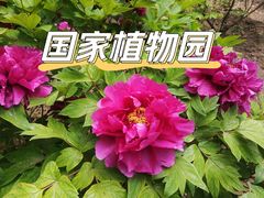 -国家植物园