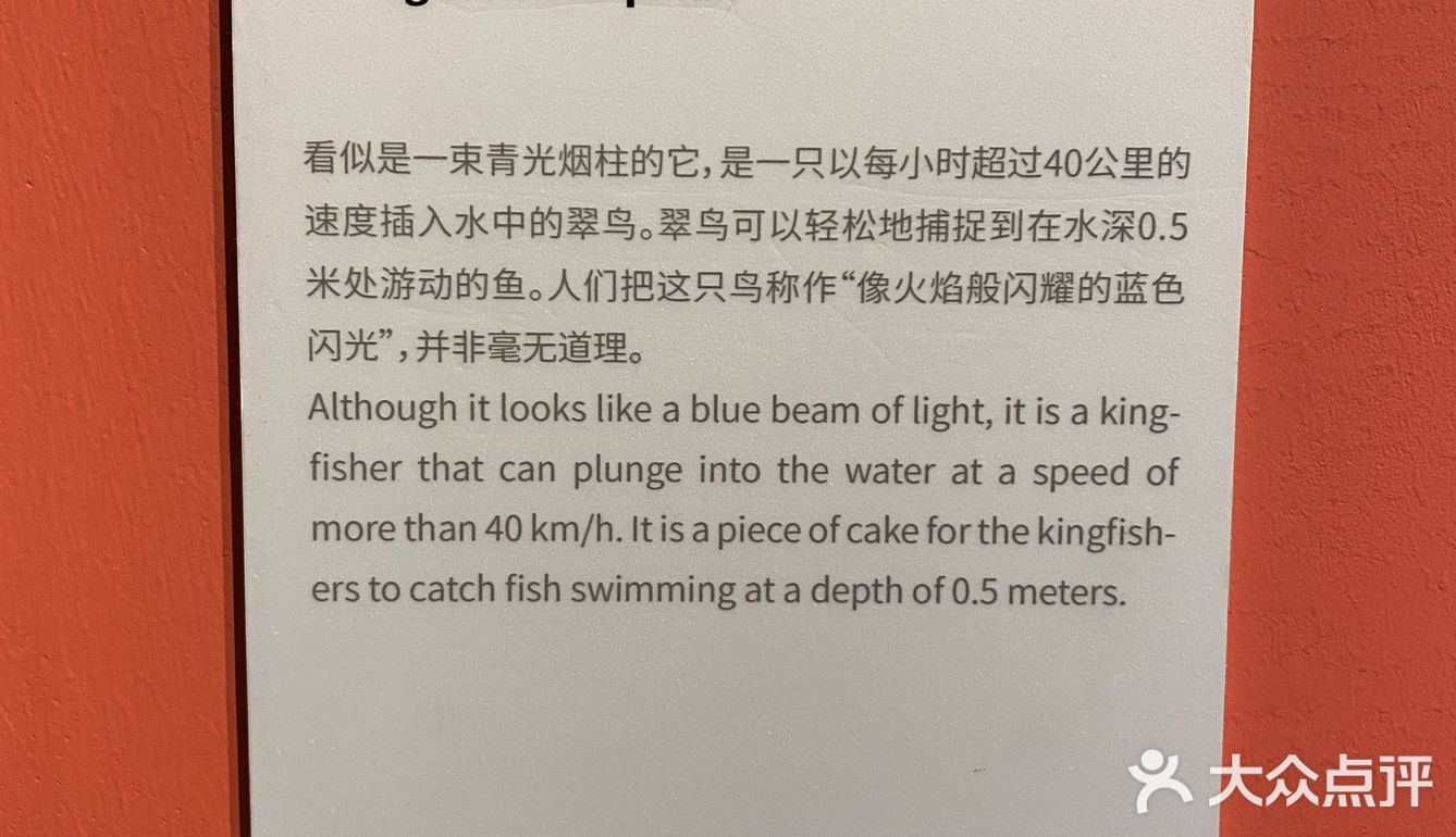 打卡·国家地理影像展