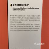 打卡·国家地理影像展