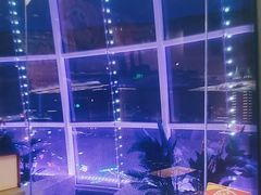 -海底捞火锅(振华广场店)