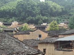-杨家堂村