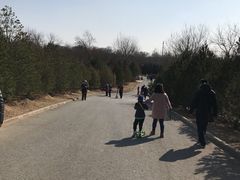 -永定河休闲森林公园