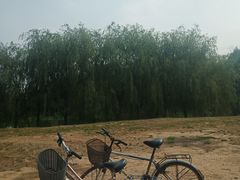 -东坝千亩湖公园