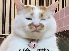 -星巴克(长沙桃子湖店)