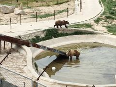 -青藏高原野生动物园