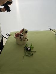 -玛瑞莎专业孕妇摄影(越秀店)
