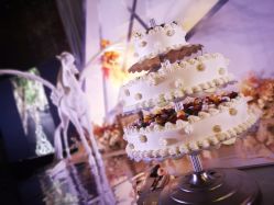 点击看大图 -上海浦东喜来登由由大酒店·宴会厅