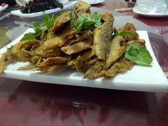 -烁佳海鲜大馅饺子
