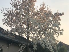 -扬州瘦西湖汇金酒店