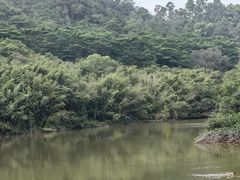 -滴水岩森林公园
