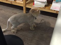 -小时光咖啡馆(开森度假森林店)