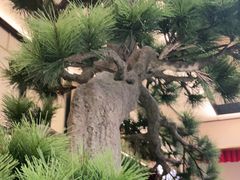 -径山十八道·风味民间菜(杭州总店)