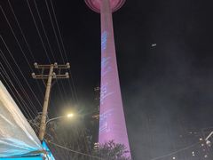 -辽宁电视塔