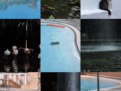 -九龙公园