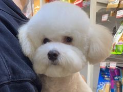 -宠物家(双井店)