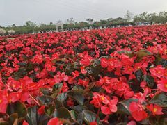 -盈香心动乐园