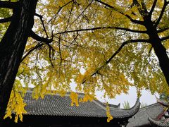 -成都市文殊院