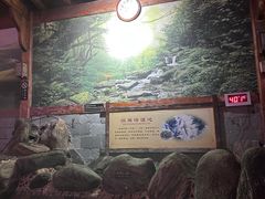 -华山御温泉度假村