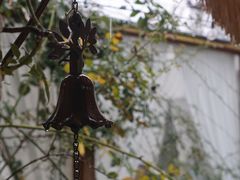 -Jo's Garden