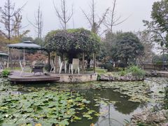 -洪湖家庭农场·团建·露营·会议